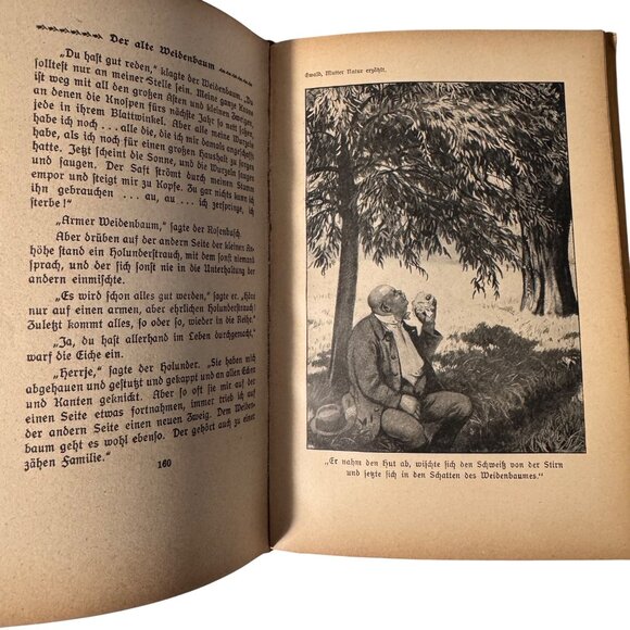 "Mother Nature Tells" By Karl Ewald Hardcover Book German Mutter Natur Erzählt - Picture 9 of 16